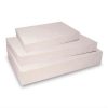 GARMENT BOX WHITE 19" X 12" X 3" (10 PER PKG)